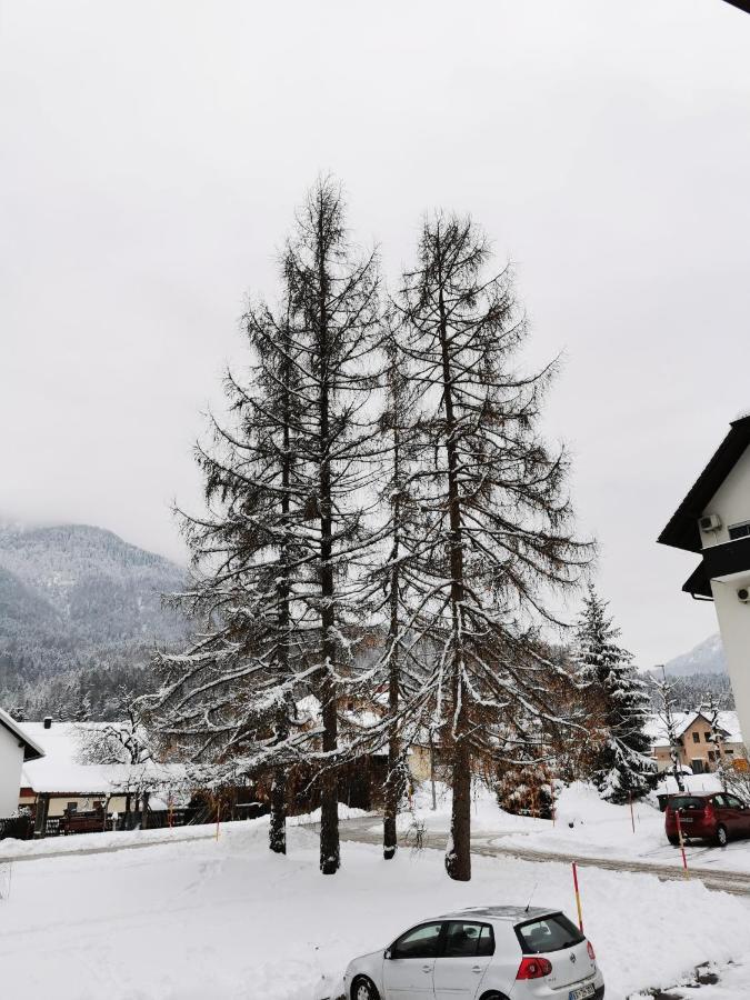 Apartma Kuhar Kranjska Gora Exterior photo
